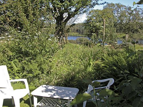 The garden Blaenpant Cottage forward view to waterway.