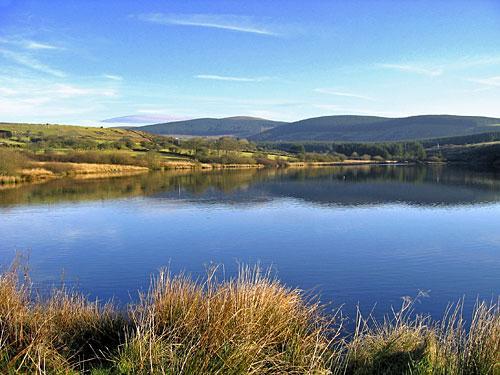 Rosebush Reservoir, 100 paces from Blaenpant Cottage