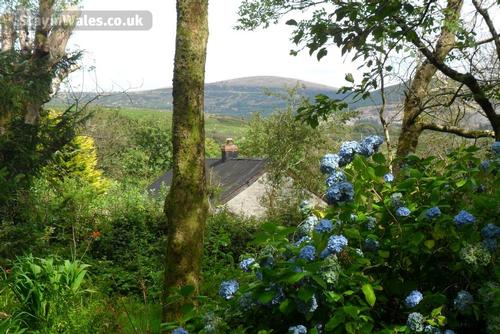 Blaenpant Cottage hideaway
