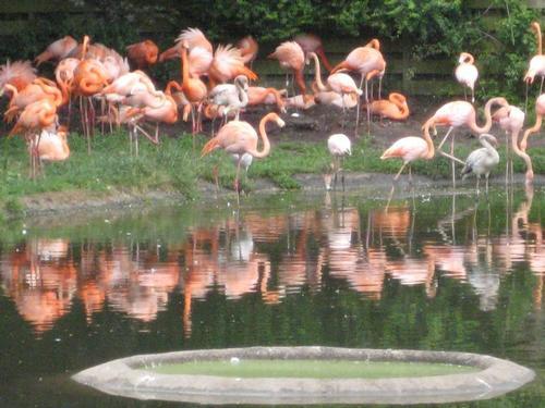 Wildlife and Wetlands Centre 15 min drive