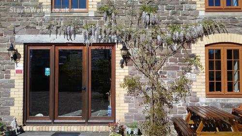 Our beautiful wisteria.