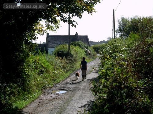 The lane to Ysgubor Hen Cottage
