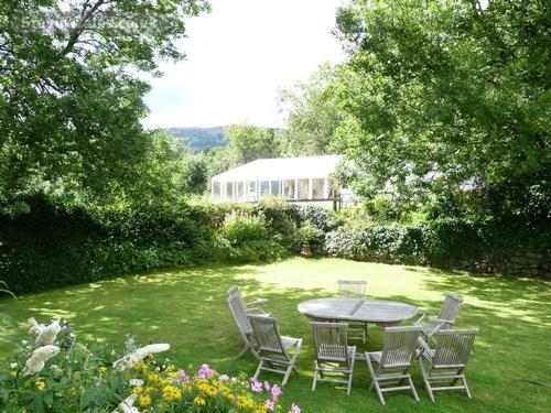 Summer garden