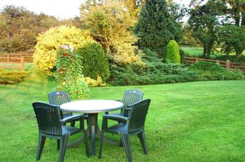 The garden