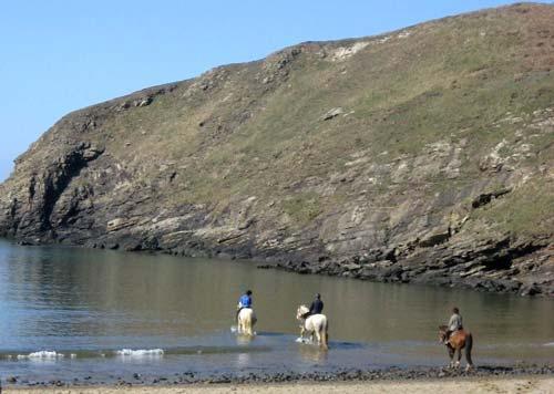 Horse riding on Nolton Haven beach