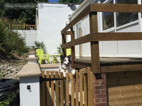 Gate to patio for your safety and privacy