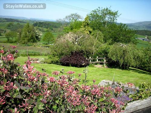 View from the garden