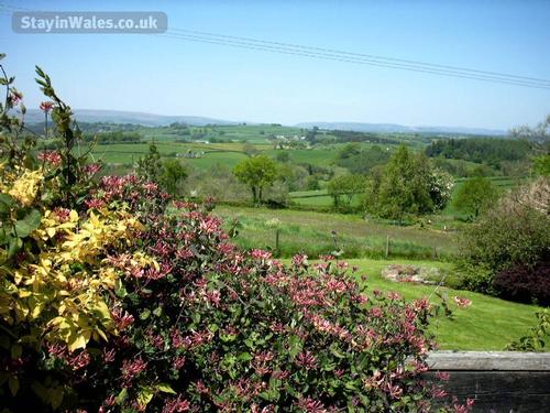 View from the garden
