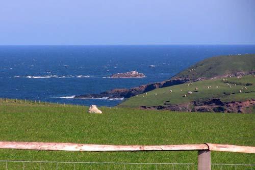 Sea view from the cottage