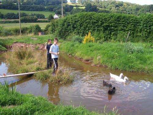 Feeding the ducks
