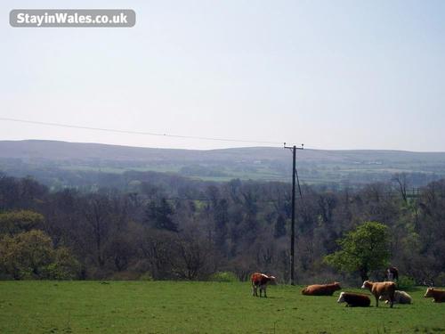 The view from The Tractor House