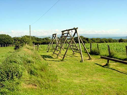 The play area