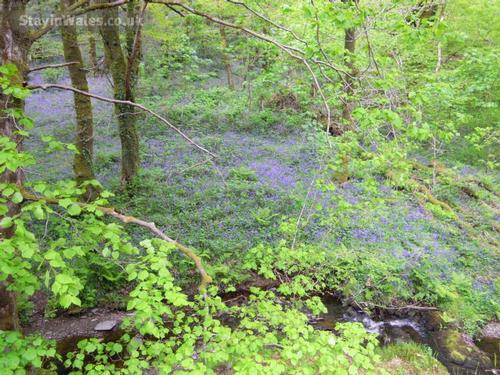 What you can see on your walk