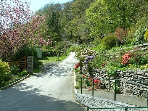 The garden in spring