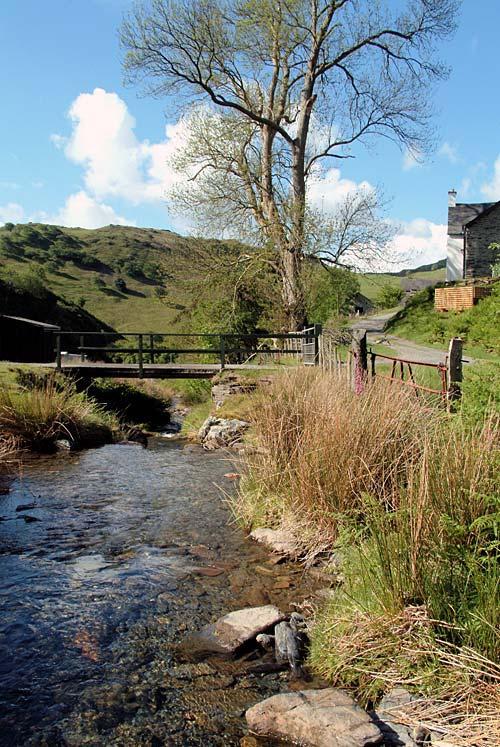 The river by Cwmffernol