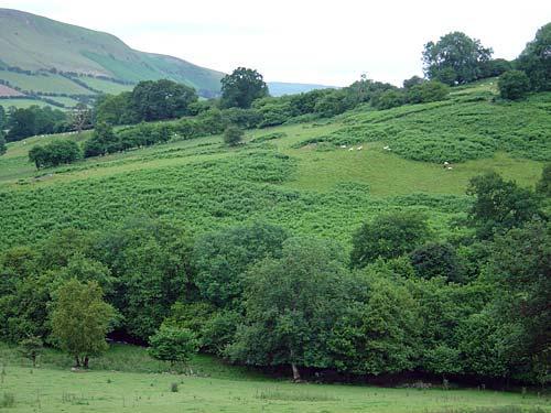 View from Gaer Cottage