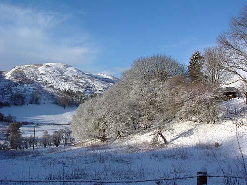 Winter at Gaer Farm
