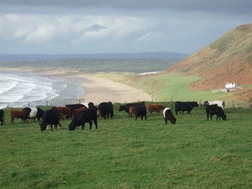 A visit to Rhossili - spectacular.