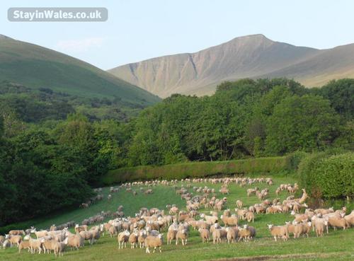 The Brecon Beacons.