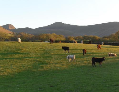 The Brecon Beacons.