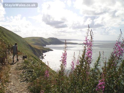 Y Beudy is just a few minutes from the coastal path