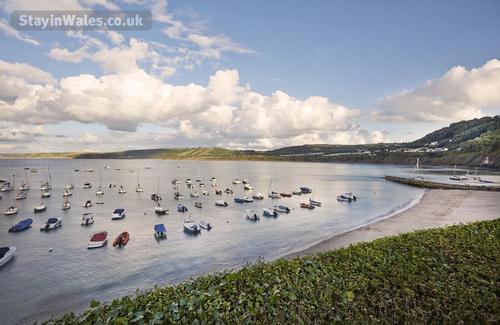 Take boat trip out of the pretty fishing harbour of New Quay