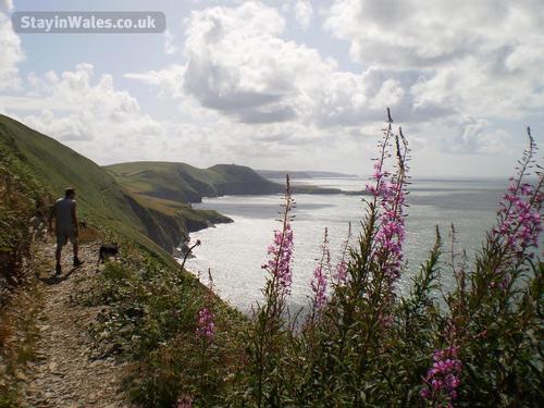 Stunning Coastal Path on your doorstep