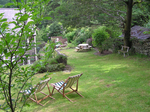 Lawn from top