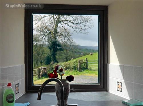 View from the kitchen window
