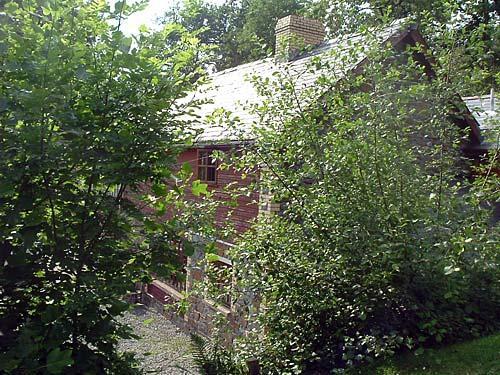The gardens