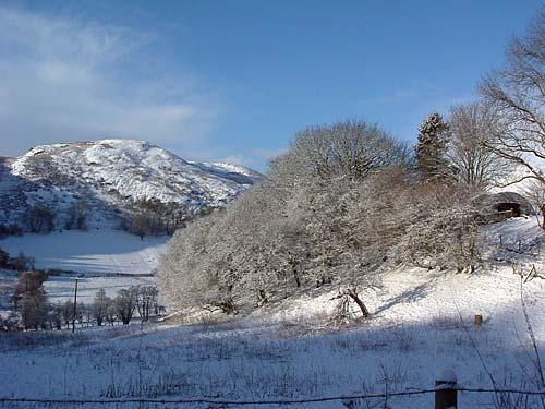 Winter wonderland