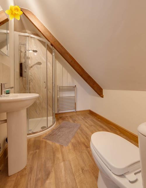 The Loft - en-suite shower room