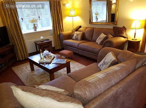 Comfy sofas in living room