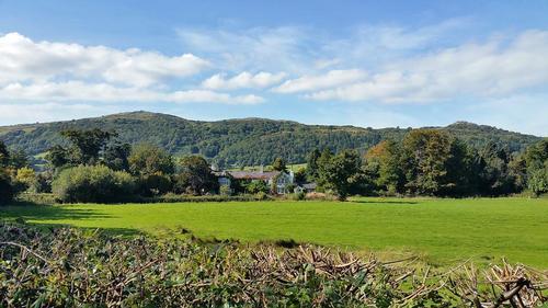 Glyn Isa From Lane