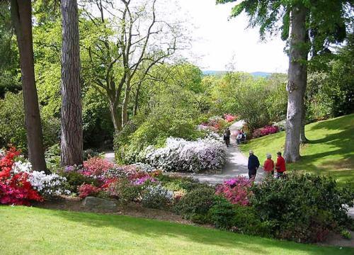 Bodnant Gardens local attraction