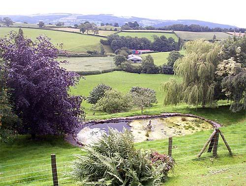 The view from Tynllwyn Farm
