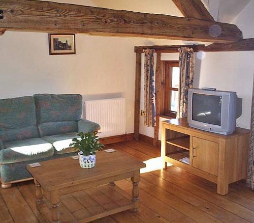 Mountain View - living area