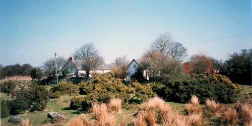 Trallwyn Cottages, a view from the moor.