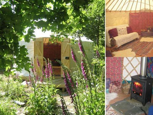 Trallwyn Yurt in private dell