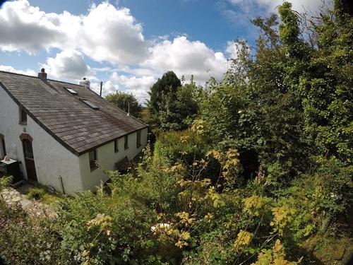 Trallwyn Cottage for 3 from the gardens