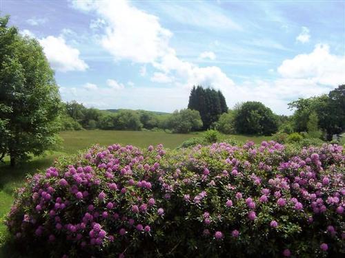 View from Oak Lodge balcony showing field behind Woodland Lodges