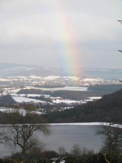 Winter view from cottages
