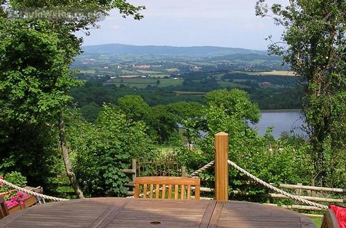 Summer views