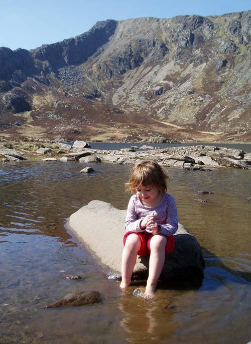 Moel Siabod tarn, above the house, a great family walk.