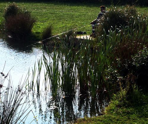 pond