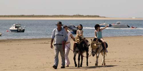 Enjoy a donkey ride on the beach