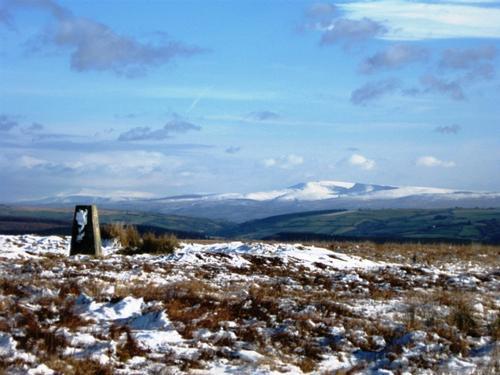 On Llanllwni mountain with the Brecon Beacons in the distance