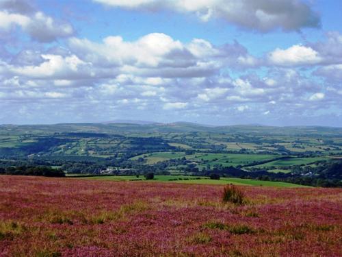 On Llanlwni mountain looking at the Preseli mountains