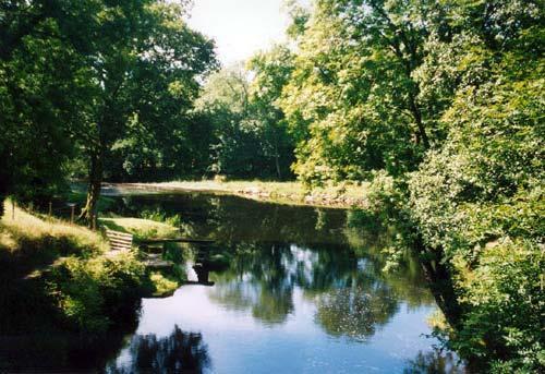 The River Teifi, famous for fishing is 2 miles from the cottage