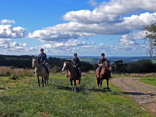 Pony trekking on Llanllwni mountain.